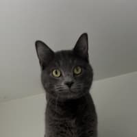 Photo of Sky