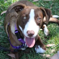 Photo of Macey