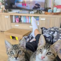 Photo of Bertie & Bolt 