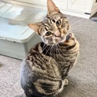 Photo of Charlie