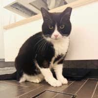 Photo of Gatsby 🌟