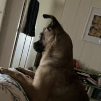 Photo of Minnie 🐭