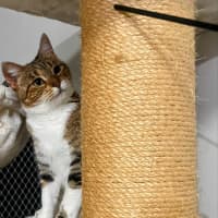 Photo of Princess Lilibet