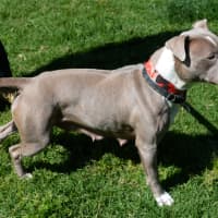 Photo of Wilma