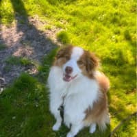 Photo of Momo