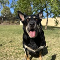 Photo of Roxy