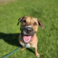 Photo of Taco