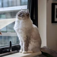 Photo of Zoe
