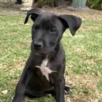 Photo of Passionfruit Bliss