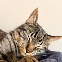 Photo of Reetee