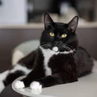 Photo of Daddy Mikey 