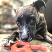 Photo of Nalani