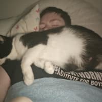 Photo of Gaia   Reduced Adoption Fee