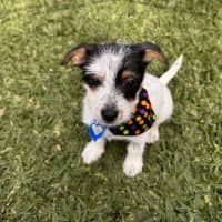 Photo of Bobby