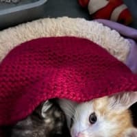 Photo of Sunny Side Up