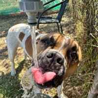 Photo of 🥯 Crumpet 5721 🥯