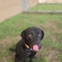 Photo of Luna