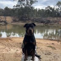 Photo of Nova