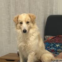 Photo of Alfredo