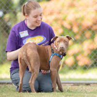 Photo of Enid
