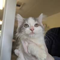 Photo of Huka