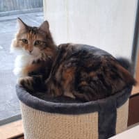 Photo of Polly Sta013920