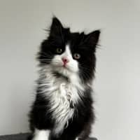 Photo of Esme