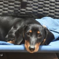 Photo of Coco Chanel