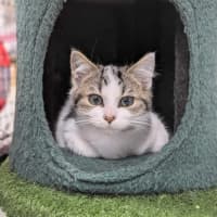 Photo of 🧵 Fyfe 6049 🧵