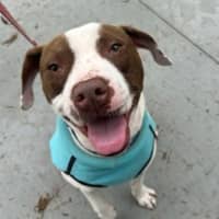Photo of Duke