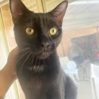 Photo of Bort 🖤