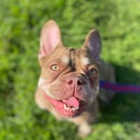 Photo of Betsy