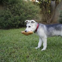 Photo of Atreyu