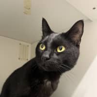 Photo of Bruno