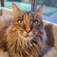 Photo of Nina O’cleary