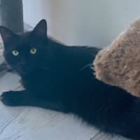 Photo of Douglas (9193)