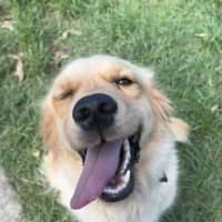 Photo of Maggie