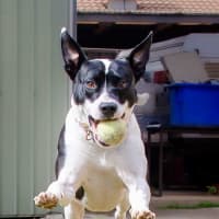 Photo of Maggie Junee