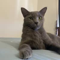 Photo of Nori & Nina