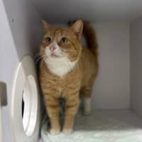 Photo of Pudge