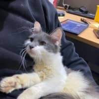 Photo of Rori
