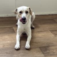 Photo of Cj (Captain Jack)