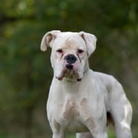 Photo of Beny
