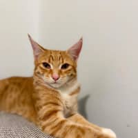 Photo of Jaffa