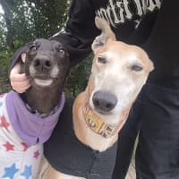 Photo of Jared (Jezza)