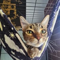 Photo of Thelma & Louise