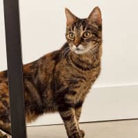Photo of Zoe