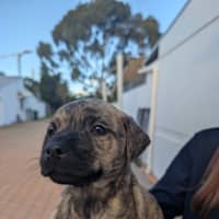 Photo of Molly