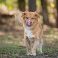 Photo of Buttons
