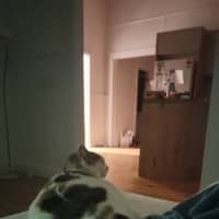 Photo of Millie